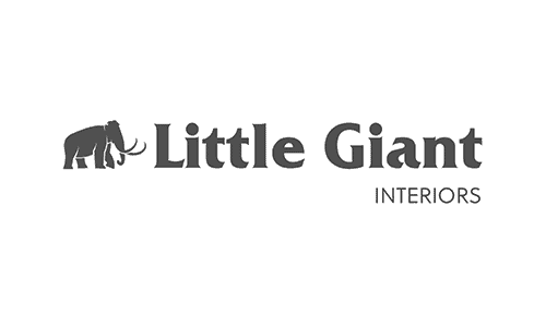 little-giant-interiors, Kitchen Renovation, Bathroom Renovation, House Renovation Auckland