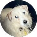 google_avatar Online Reviews - Google + Facebook for Superior Renovations
