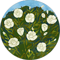google_avatar Online Reviews - Google + Facebook for Superior Renovations